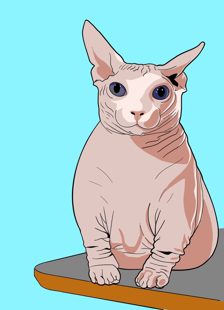 Digital illustration of a sphynx cat sitting on a skateboard